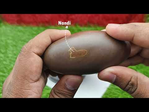 Vasuki Mahadeva Nandikeshvara Natural Shivalingum Shivpuja set video