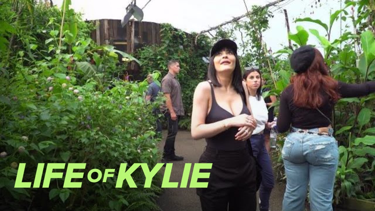 Kylie Jenner Reveals She's Scared of Butterflies | Life of Kylie | E! - YouTube