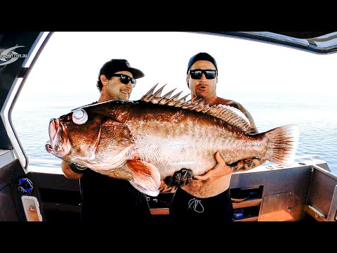 WE CAUGHT A NEW SPECIES OF GIANT GROUPER Scientific Report, Age And Eating Quality - Ep 158