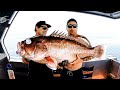 WE CAUGHT A NEW SPECIES OF GIANT GROUPER Scientific Report, Age And Eating Quality - Ep 158