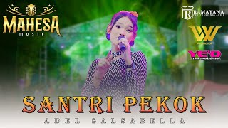 Download lagu Santri Pekok | Adel Salsabela | MAHESA Music Live In Mojosarirejo Driyorejo Gresik mp3