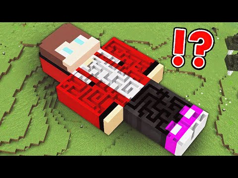 JJ and Mikey SCARY JJ MAZE Statue Survival Battle in Minecraft Challenge - Maizen JJ and Mikey