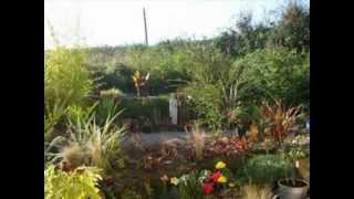 Gheorghe Zamfir,..Elizabeth's "Ash Garden".