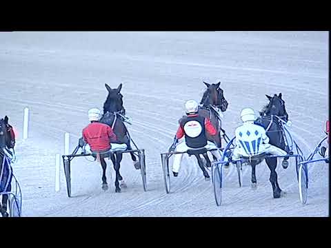 Napoli Trotto 23/12/2022 - 7ª corsa