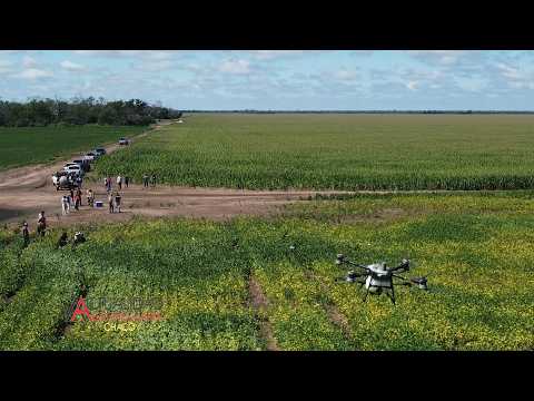 EXPERTOS EN EL AIRE - Jornada a Campo - Pampa del Infierno Chaco - primera parte.
