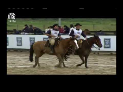 Aberta de Esteio – 2° lugar fêmeas – Carlota de São Pedro