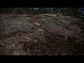 Smooth Snake In It S Natural Habitat Coronella Austriaca 2Of2