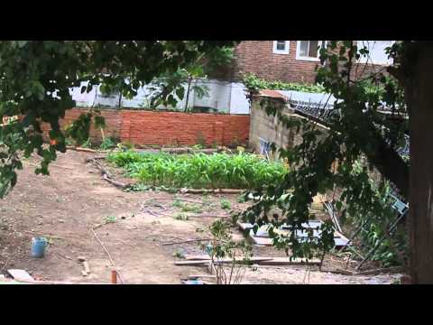 Somos Batalla Cultural