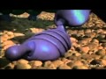 A Bugs Life Official Trailer