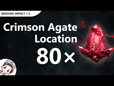 All 80 Crimson Agate Location in Dragonspine | Genshin Impact 1.2