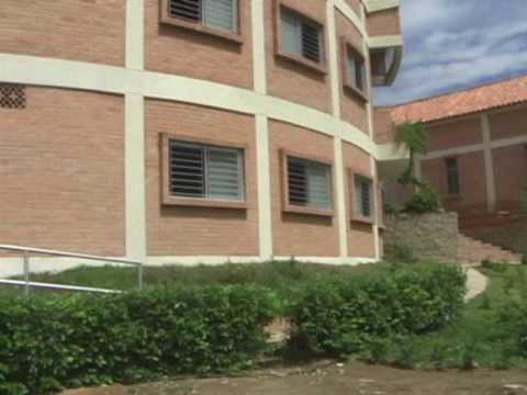 Hermanas Teresa de Calcuta muestran su trabajo pastoral