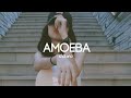 Amoeba ~ Clairo [Lyrics]