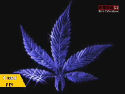 plan B - Perreandote