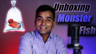 🔶Unboxing Monster Flowerhone fish ❤|flowerhone care tips|kamfa flowerhone|red dragon flowerhorn✅