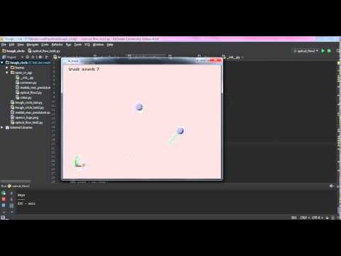Pendulum Opticalflow Python