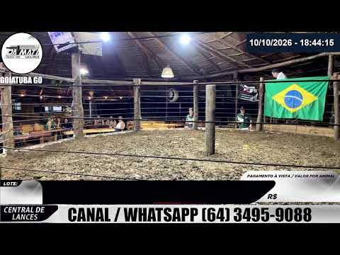Leilão de gado em Goiatuba Goiás,  10/10/2026 - Mata Preta  Leilões - 14:30 Hs