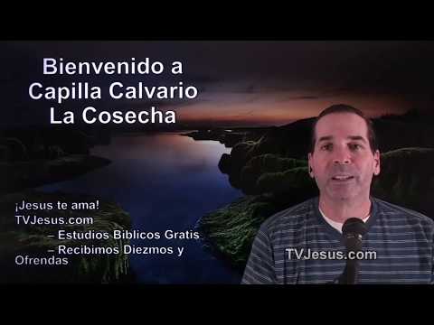 61 2 Pedro 2 - Ken Zenk - Estudios Biblicos