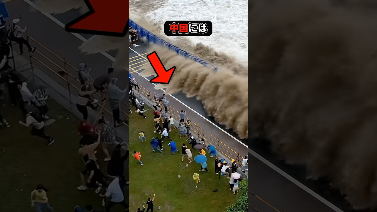 世界でも有数の特殊な波が起こる観光スポット