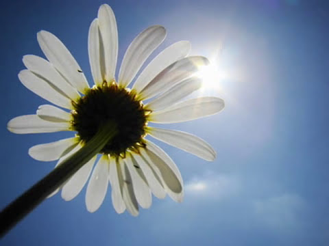 Heilungsmantra * Möge Heilung * Friedensmantra * Healing Mantra of Peace* Friedenslied