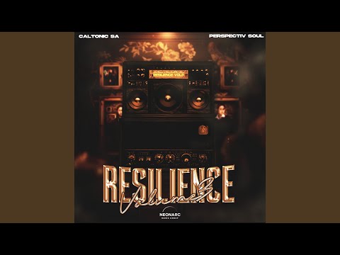 Intro-Resilience