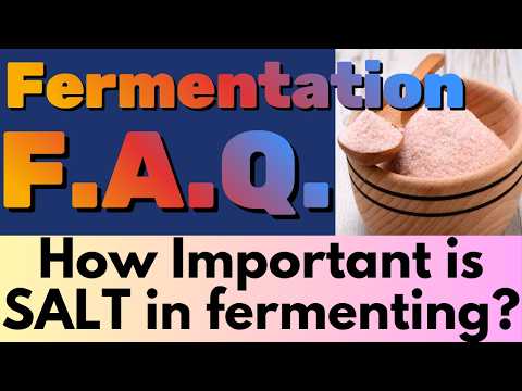 Salt's Role in Fermentation: FAQ Friday Deep Dive