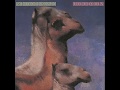 The Roches - For Unto Us A Child Is Born