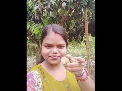 Lichu pere khelam 👌