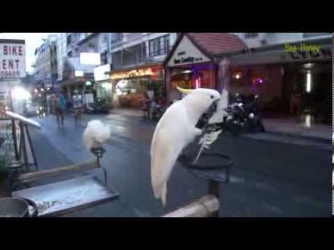 100 секунд_1-Перед полетом Before flight