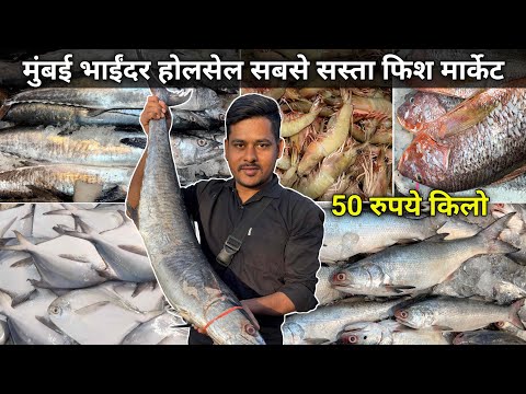 Mira Bhayandar Fish Market | Bhayandar Wholesale Fish Market | Wholesale Fish Market In Mumbai