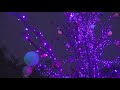 NASA Can See North Texas Christmas Lights From Outer Space