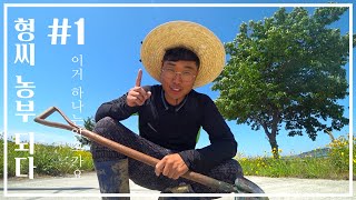 형씨 농부 되다 이거는 알고 귀농 하세요 [지금은 농부시대] Korean Agriculture