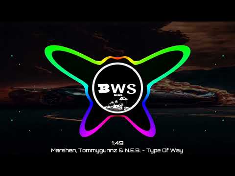 Marshen, Tommygunnz & N.E.B. - Type Of Way