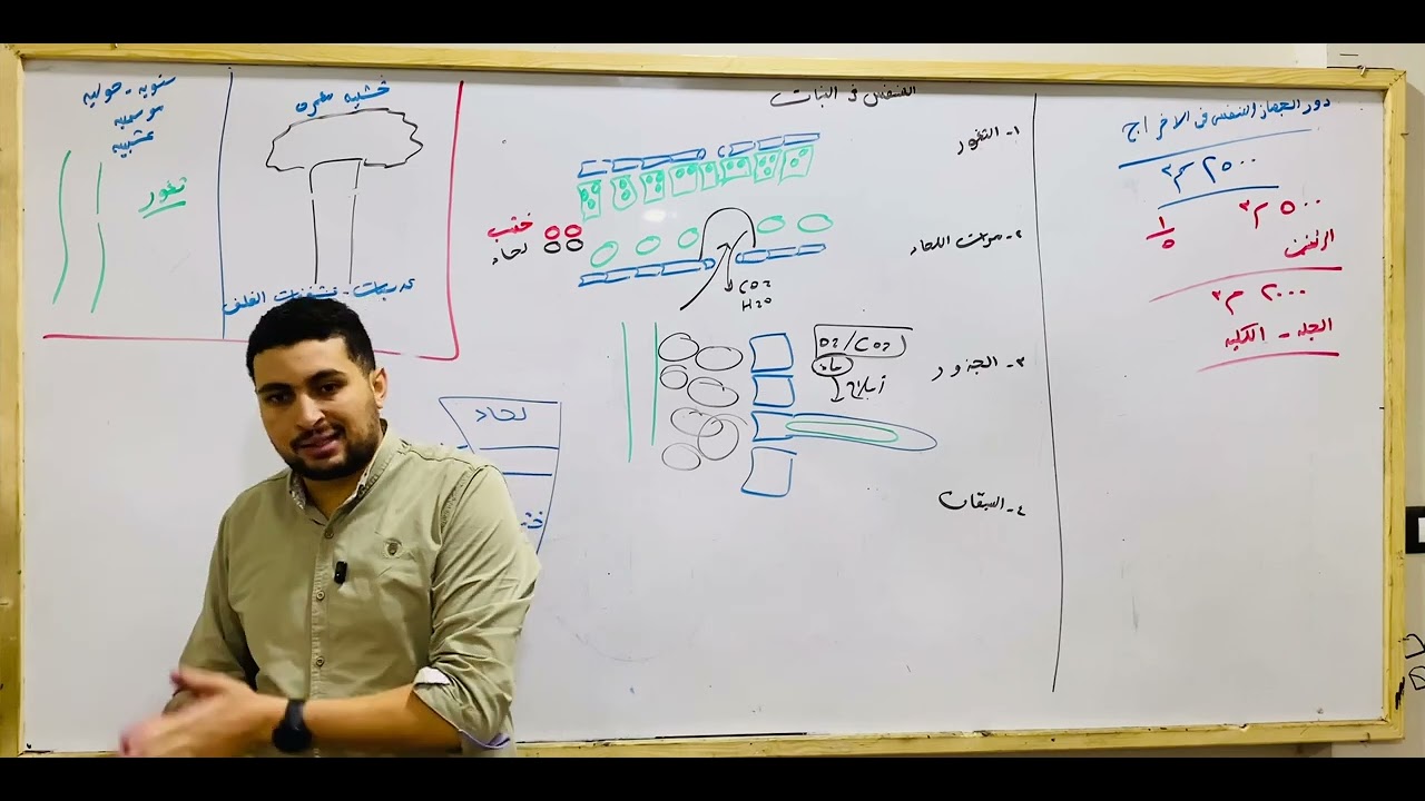 شرح التنفس في النبات || ختام منهج احياء تانية ثانوي