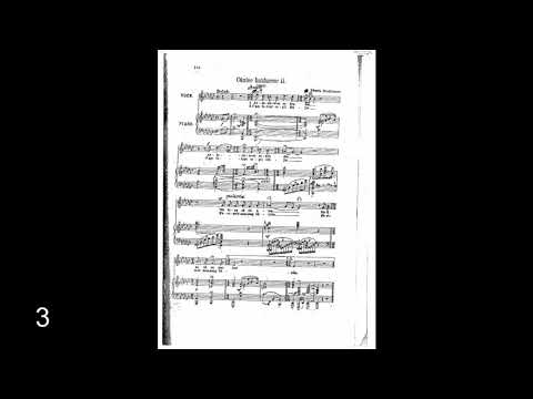 Cântec haiducesc II - Tiberiu Brediceanu - piano accompaniment
