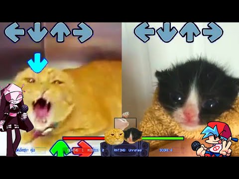 Sarvante Parish BUT VERY ANGRY CAT VS Towel Cat Sing it! - FNF Animation - Mid-Fight Masses