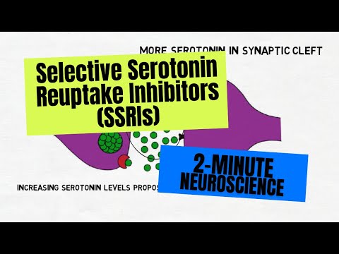 2-Minute Neuroscience: Selective Serotonin Reuptake Inhibitors (SSRIs)