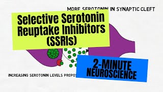 2-Minute Neuroscience: Selective Serotonin Reuptake Inhibitors (SSRIs)