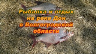 Отдых и рыбалка на волге в волгоградской области