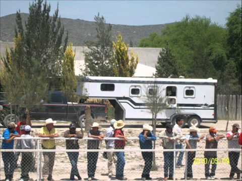 el pirrin y el alacran.wmv