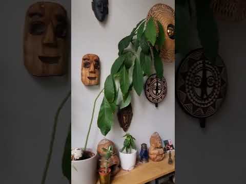 Visite guidée T1 Mezzanine Rue Richan