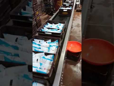 Dairy Conveyors