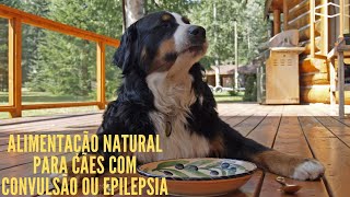DICAS DE ALIMENTAO NATURAL PARA CES COM CONVULSO OU EPILEPSIA .