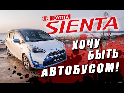 Toyota SIENTA лот № 2205 оценка 4.5