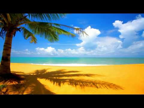 OMONIMO - VAMOS A LA PLAYA (KANDO RADIO EDIT)