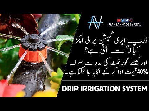 Drip irrigation system