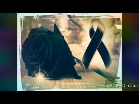 Un santo grifo nunca muere