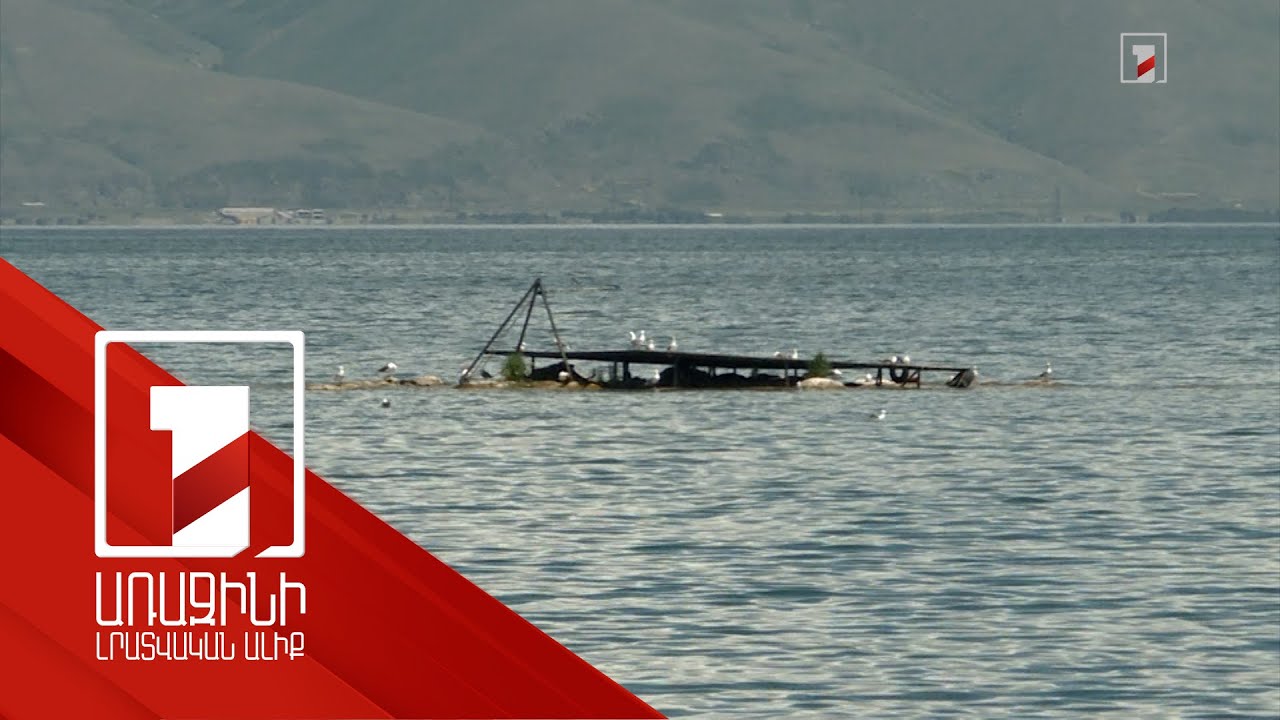 Սևանի ճահճացող հատվածները մաքրվում են