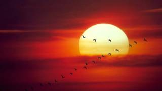 Klaus Schulze - Wann soll man springen? (Studio 1975)