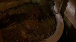 Neuroticfish - They&#39;re Coming to Take Me Away