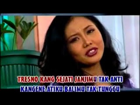 Cici Shahita - Janjimu (Official) IMC RECORD